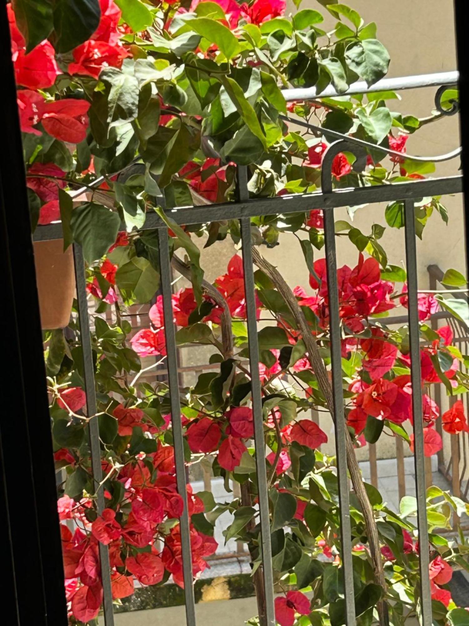 B&B L'Angolo Sulla Piazza Mirabella Imbaccari Exterior foto