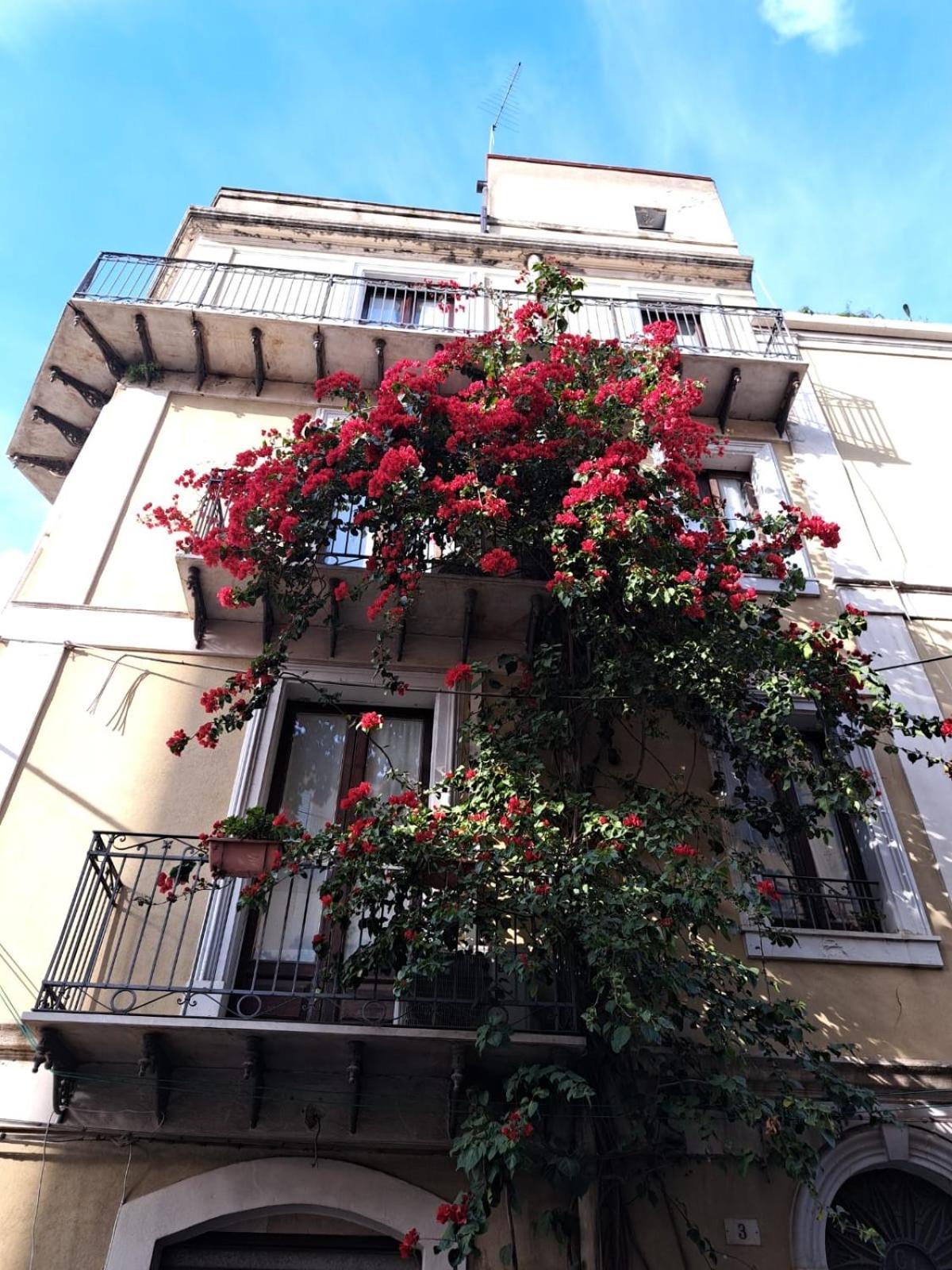 B&B L'Angolo Sulla Piazza Mirabella Imbaccari Exterior foto